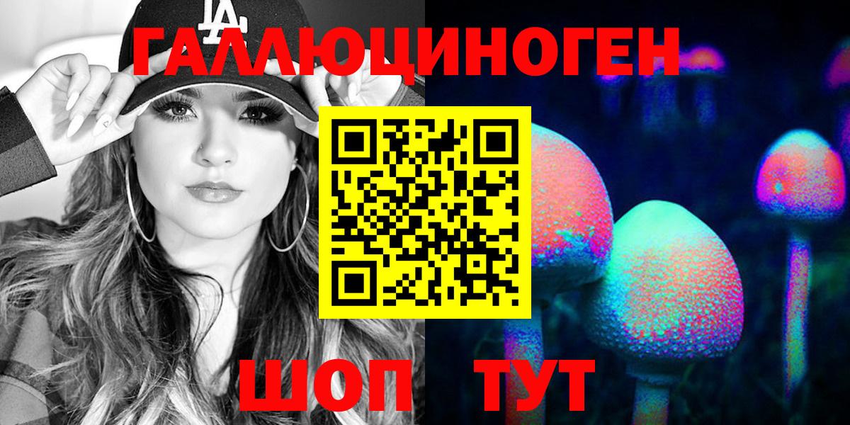 Псилоцибиновые грибы Psilocybine cubensis Вятские Поляны